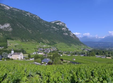 Couvreur Chignin