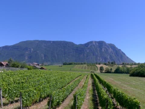 Couvreur Porte-de-Savoie