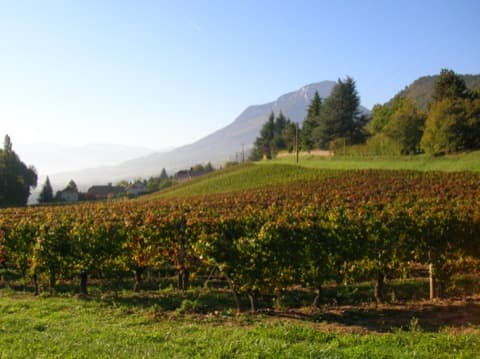Couvreur Saint-Baldoph