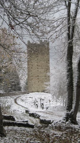 Couvreur Villard-Sallet
