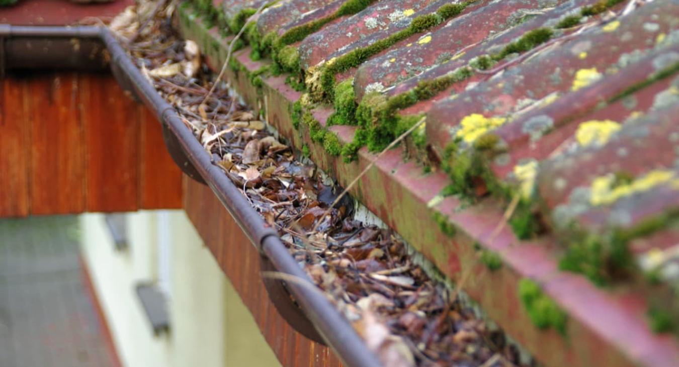 Nettoyage de toiture, Peinture & Hydrofugation de toit 73 Savoie