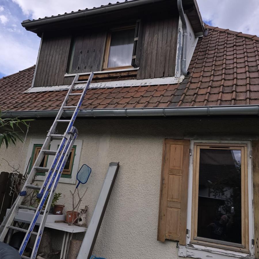 Restauration d'une jacobine